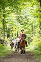Promenades au Parc du Château de Flers