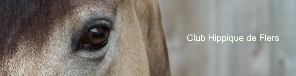 Club Hippique de Flers